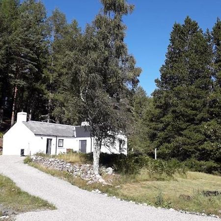 Torgoyle Cottage Инвернесс Экстерьер фото